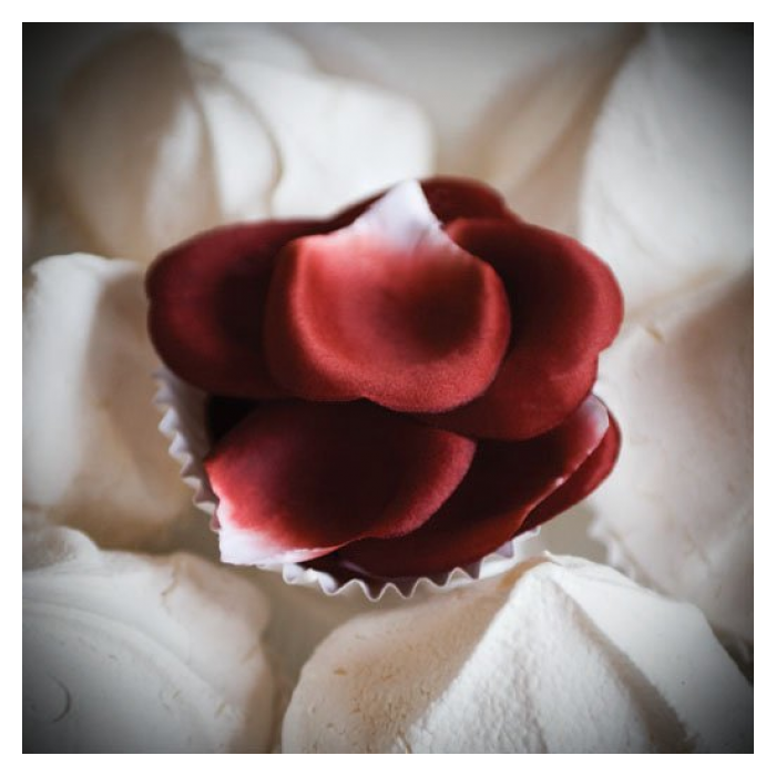 ROSE PETAL EXPLOSION - LES PETITS BONBONS