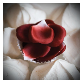 ROSE PETAL EXPLOSION - LES PETITS BONBONS