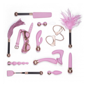 LELO Anniversary collection maletin Suitcase pink