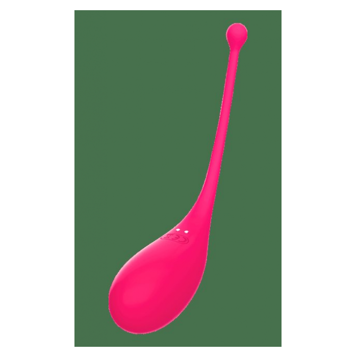 PALPITATION VIBRATING EGG DE ADRIEN LASTIC