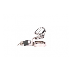 Chastity Cage Small Steel 