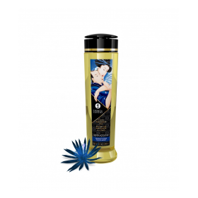 SHUNGA EROTIC MASSAGE  OIL 240ML